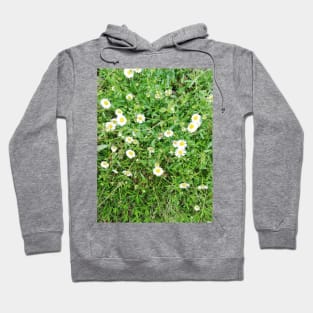 sweet little daisies Hoodie